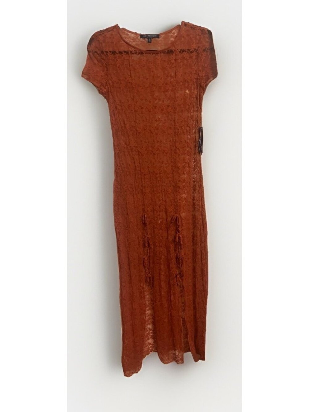 Sheer Mesh Embroidered Lace Overlay Dress Rust Orange Whimsical Goth.     Gg